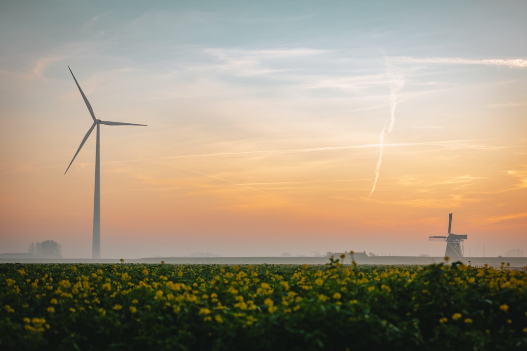 ReFuelEU Infringement Proceedings: What Road-Fuel Compliance Directors Must Watch