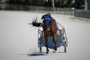 Horse Powertrain D20 Methanol REEV Reframes Synthetic Fuel Road Map