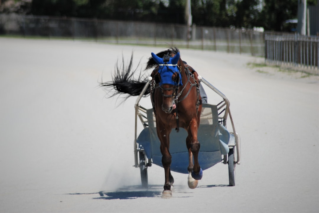 Horse Powertrain D20 Methanol REEV Reframes Synthetic Fuel Road Map