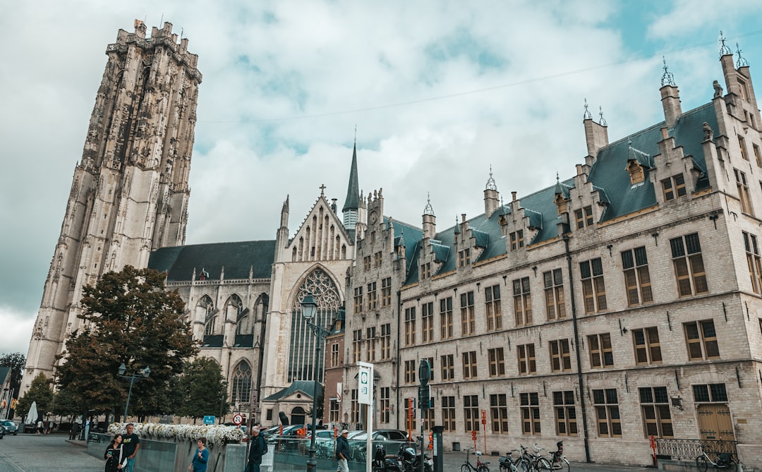 Belgium's BE.Hydrogen Survey: What It Means for E-Petrol