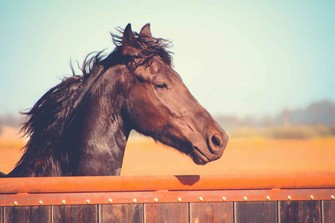 Horse Powertrain D20 Methanol REEV Targets Euro 7 Road Market